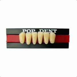 Dente importado placa 266 inferior 62