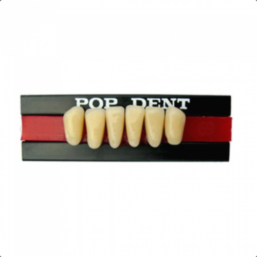 Dente importado placa 266 inferior 66