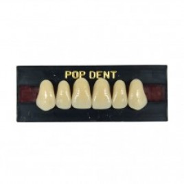 Dente importado placa 266 superior 69