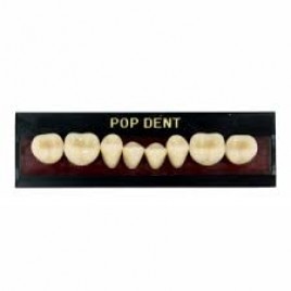 Dente importado placa 34L inferior 66