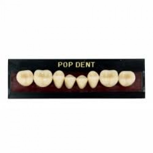 Dente importado placa 34L inferior 62