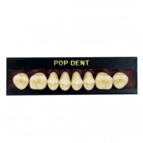 Dente importado placa 34L superior 60