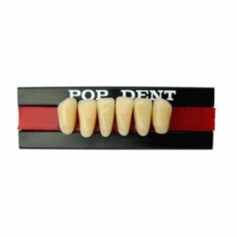 Dente importado placa A25 inferior 66