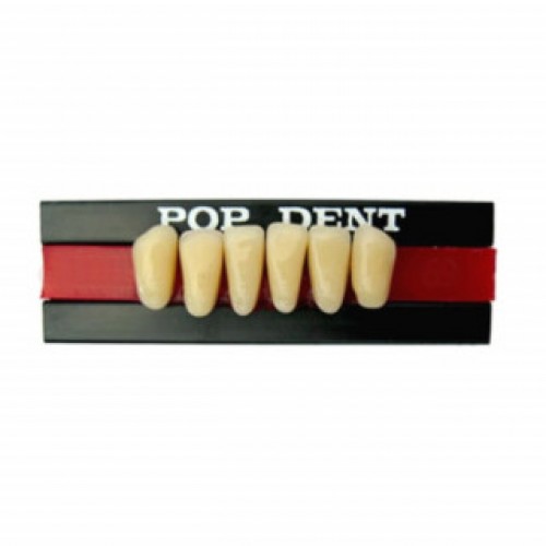 Dente importado placa A25 inferior 60