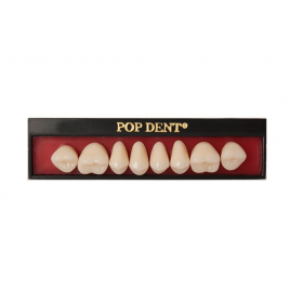 Dente importado placa 32L superior 66