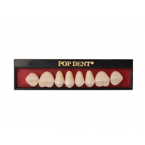 Dente importado placa 32L superior 69