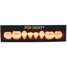 Dente importado placa 32L inferior 66