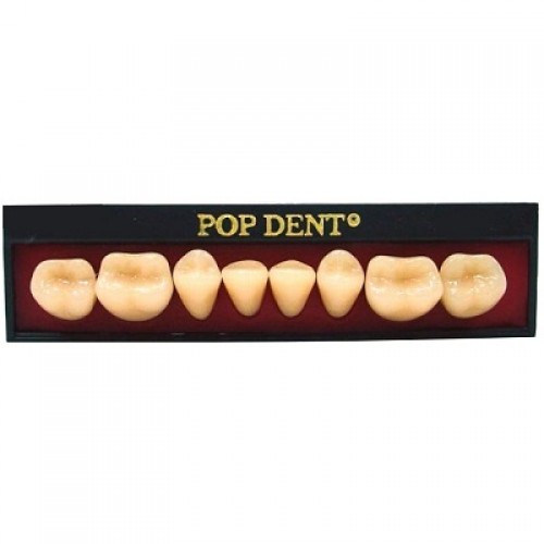 Dente importado placa 32L inferior 62