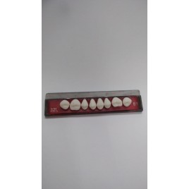 Placa dente comum 32L inferior cor 61